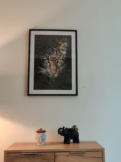 Apartament La Jungle Urbaine Avec Garage Prive & Climatisation Perpignan Zewnętrze zdjęcie
