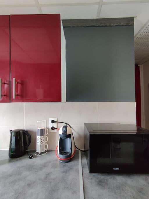 Apartament La Jungle Urbaine Avec Garage Prive & Climatisation Perpignan Zewnętrze zdjęcie