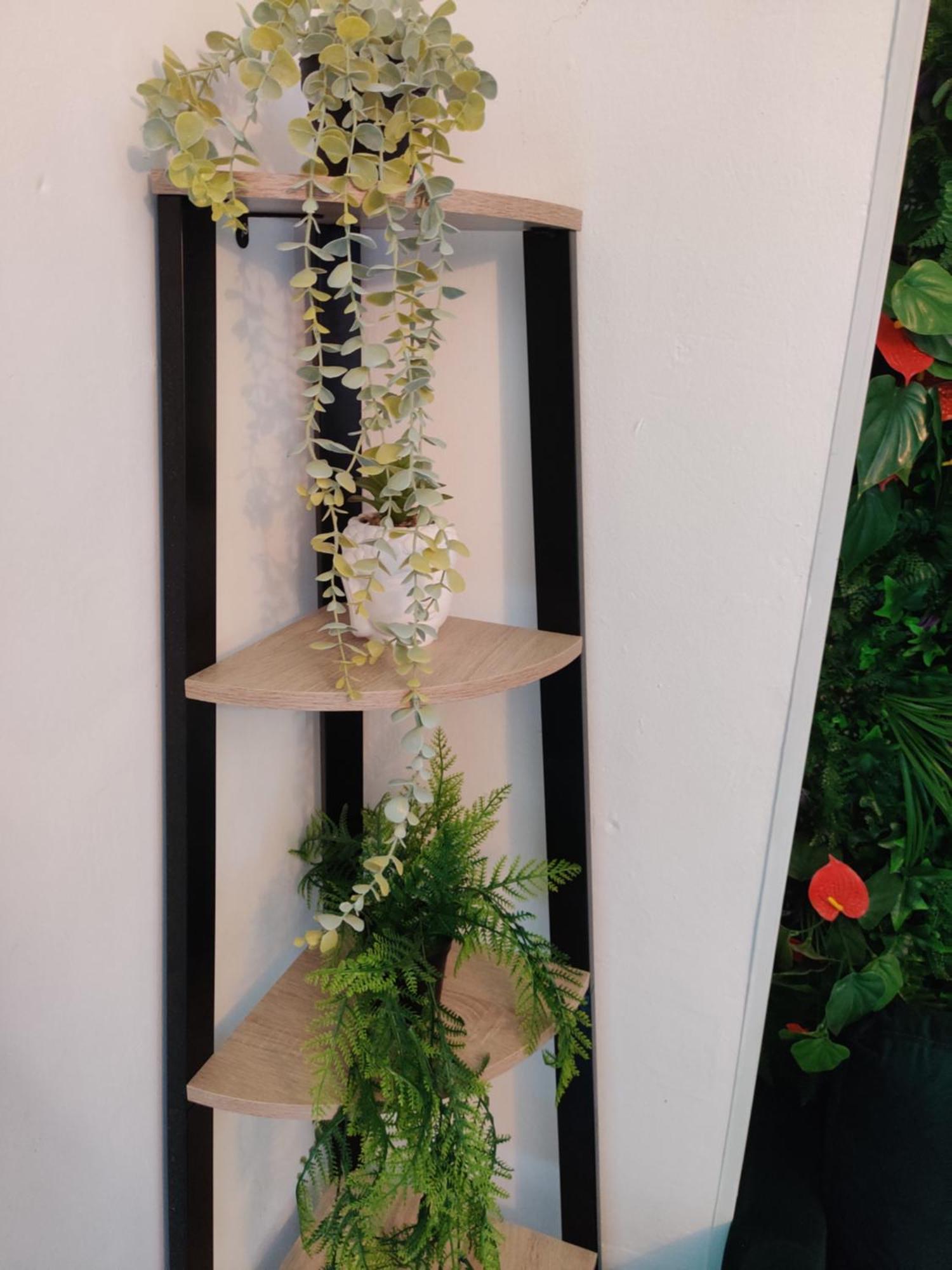 Apartament La Jungle Urbaine Avec Garage Prive & Climatisation Perpignan Zewnętrze zdjęcie