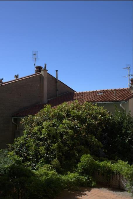 Apartament La Jungle Urbaine Avec Garage Prive & Climatisation Perpignan Zewnętrze zdjęcie